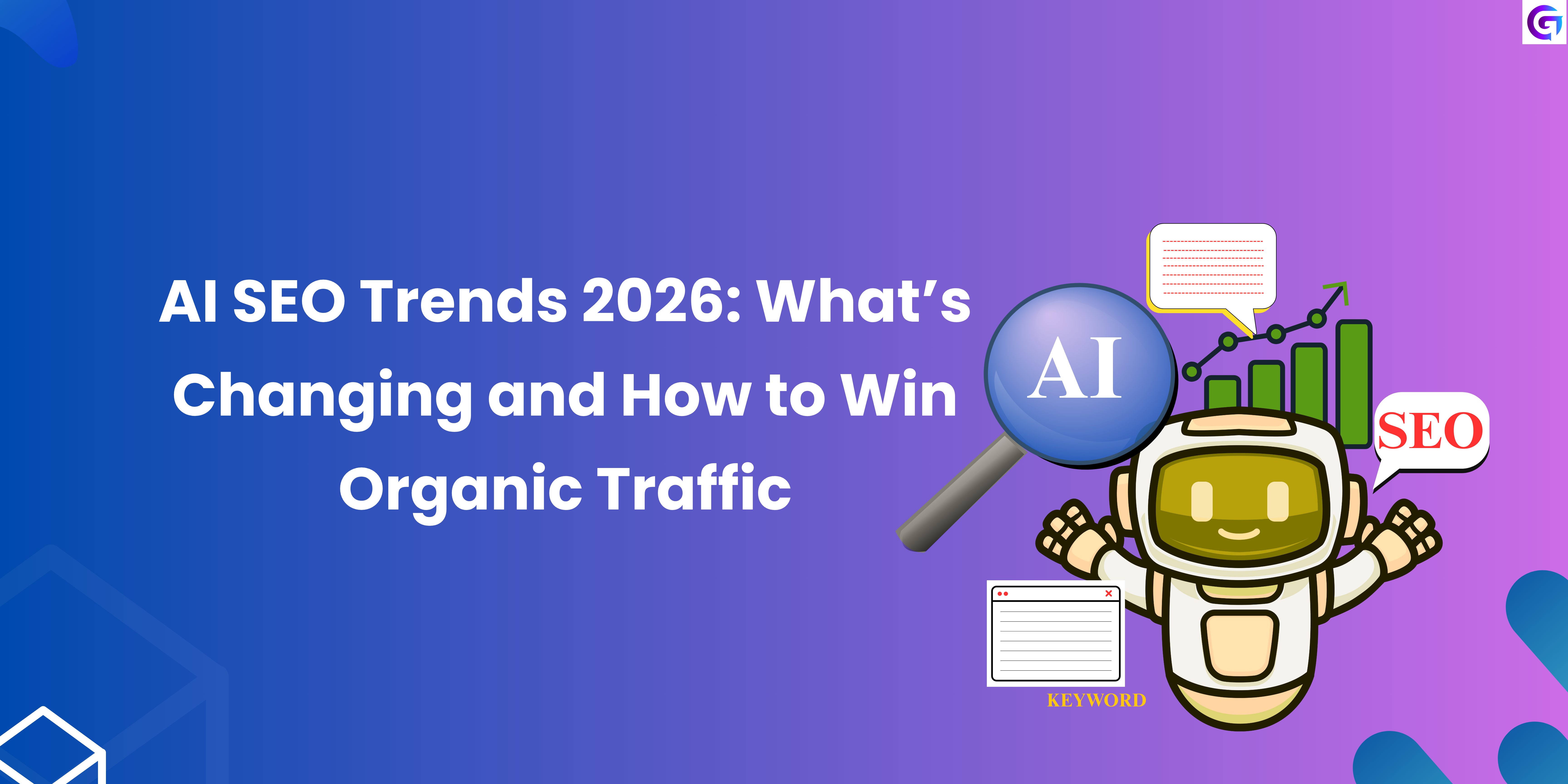 Website Design Website Design